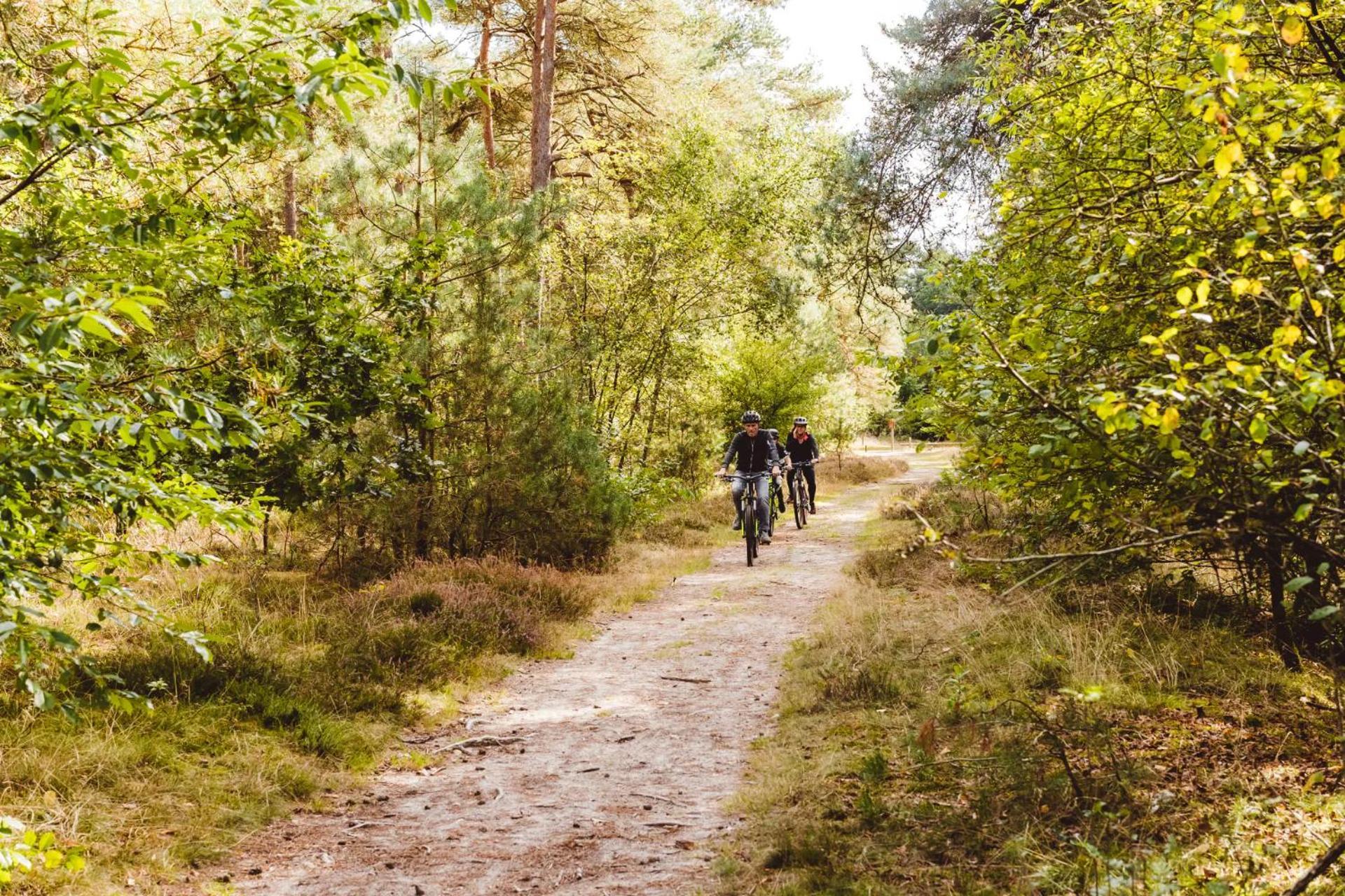 Landgoed Het Grote Zand Hooghalen Exterior foto